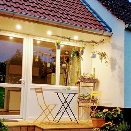 Houlle Le Cottage Du Marais. מראה חיצוני תמונה